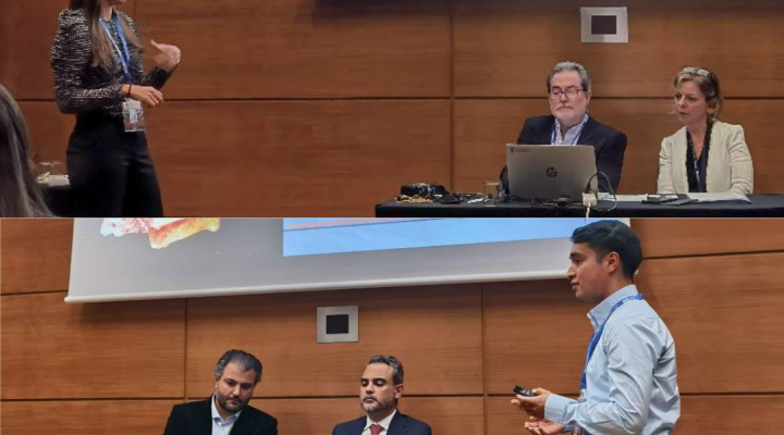 Èxits dels estudiants de l'HOUB al Congreso SEI-Toledo 2025.